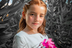 FranPhotography's photo