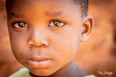 FranPhotography's photo