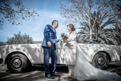 FranPhotography's photo