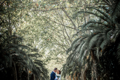 FranPhotography's photo