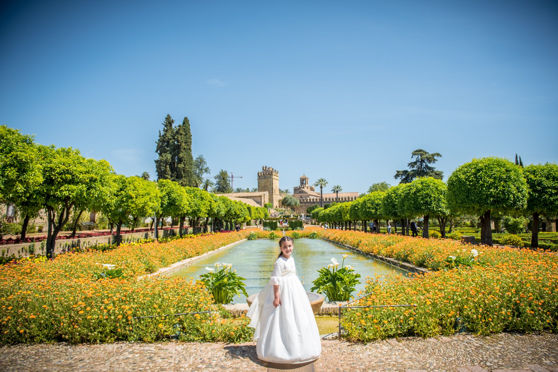 Franphotography's photo.